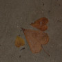 Small 94432bd6bbb4c672c5addd8af5d1c61c