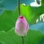 Small 0dfe865195d525e79165add430eae10d