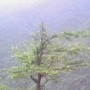 Small 2df9fda14b2482c535c0c30861112892