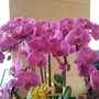 Small 573a1d2c6e9f2567200db8d9d9dc5e8b