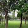 Small 333bd93a2642c27223801be24493b60f
