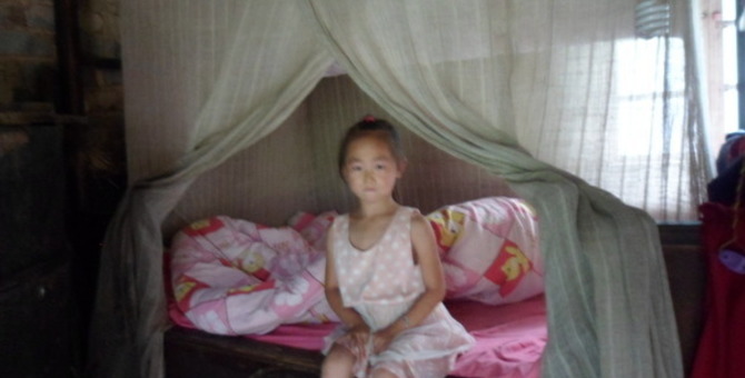 Large 58b8a56d4c76c104fb8759a88f6a0ce3